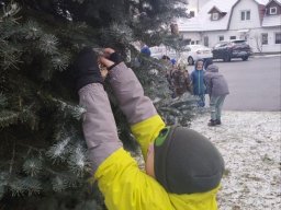 projekt ptaci 2